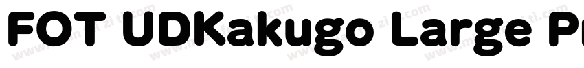 FOT UDKakugo Large Pr6N U字体转换